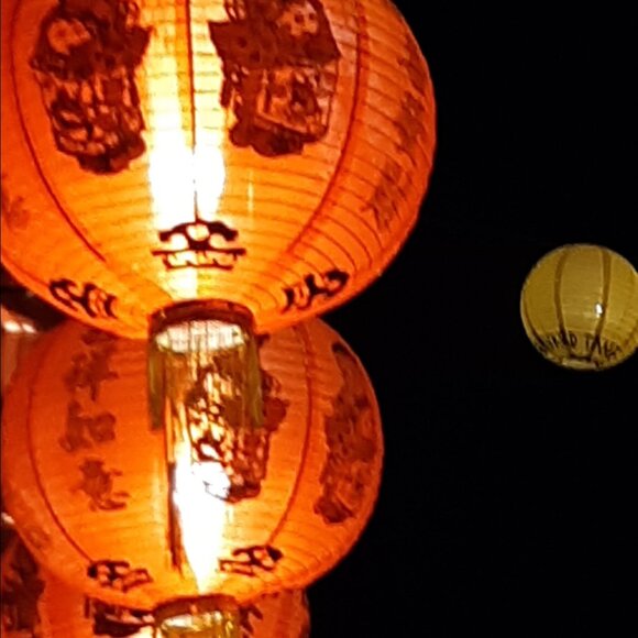 Meet your Posher, Ice - Picture 1 of 1